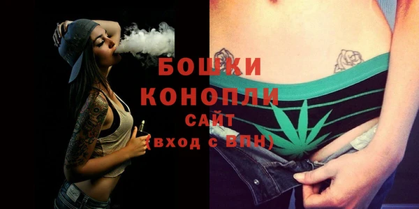 PSILOCYBIN Абаза