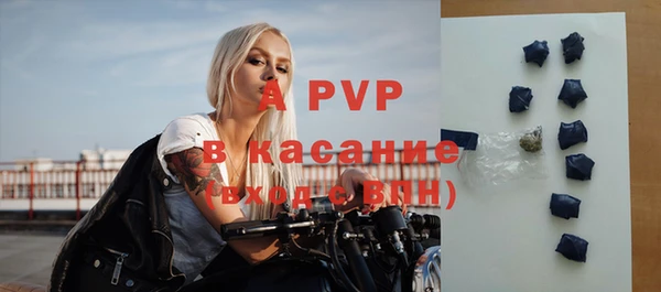 индика Михайловск
