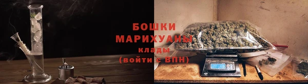 PSILOCYBIN Абаза