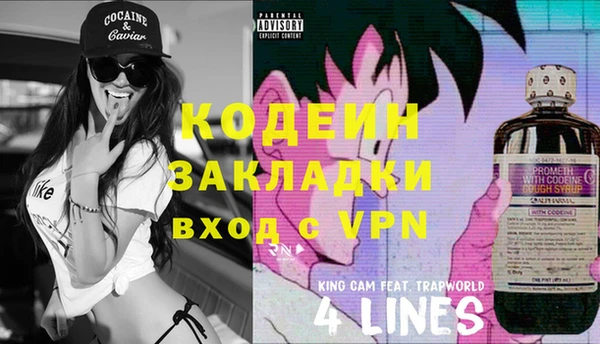 индика Михайловск