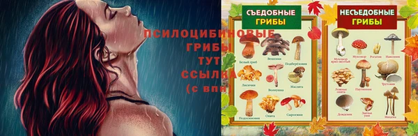 трава Абинск