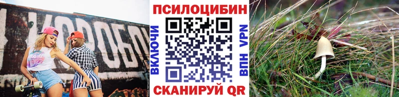 сколько стоит  Кисловодск  Псилоцибиновые грибы MAGIC MUSHROOMS 